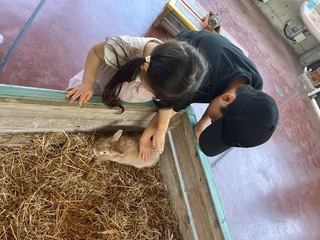 IMG_6996.jpeg