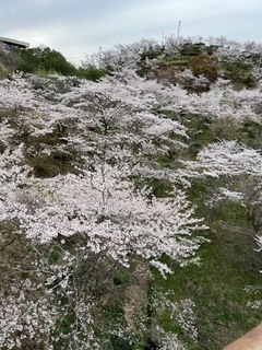 IMG_9169.jpeg